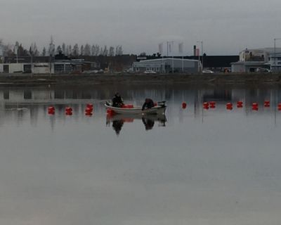 Bild: 2016-10/till-sj-ss-4.jpg