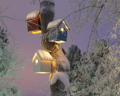 Bild: 2018-01/holkar.jpg